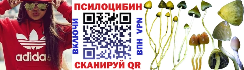 Псилоцибиновые грибы ЛСД  Купить где  Порхов 